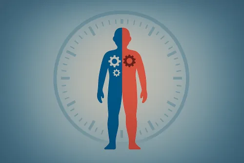 Calculadora de idade metabólica