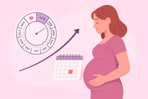 Calculadora de gravidez